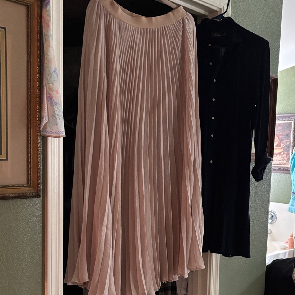 BCBGMaxAzria Blush Pleated Maxi Skirt